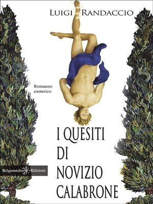 cover image of I quesiti di novizio Calabrone